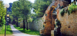 Guide d'arte - Visite guidate