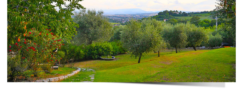 Foto di Country House Daniela 